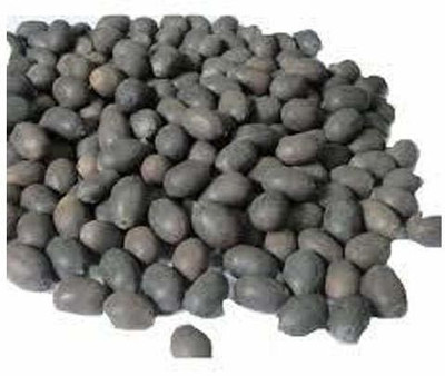VibeX ™ XII-145 Mini Lotus Seeds Bonsai Seeds Set Hydrophyte Seed(25 per packet)