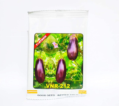 Qualtivate brinjal Seed(250 per packet)