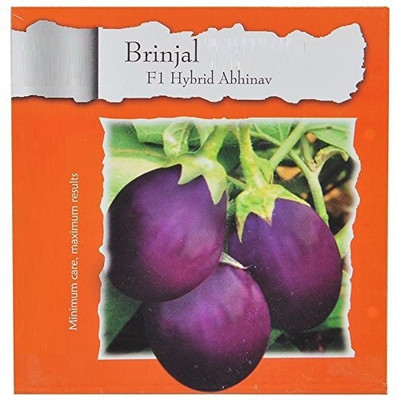 Qualtivate Brinjal Seed(500 per packet)