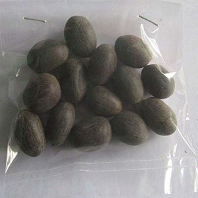 VibeX Lotus Seeds Seed(10 per packet)