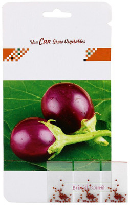 Qualtivate brinjal Seed(100 per packet)