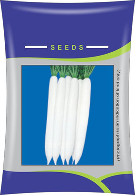 VibeX CBZ-237 Radish Mino Early Long White Seeds Seed(150 per packet)