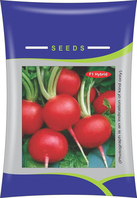 VibeX ® HAU-487 Radish Red Round Seeds Seed(200 per packet)