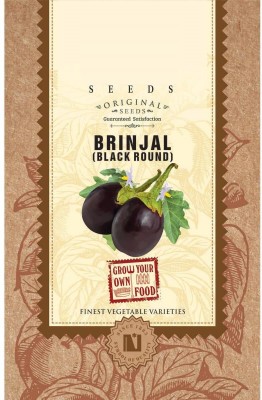VibeX Brinjal Seed(250 per packet)