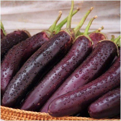 MKR Enterprises Brinjal Seed(50 per packet)