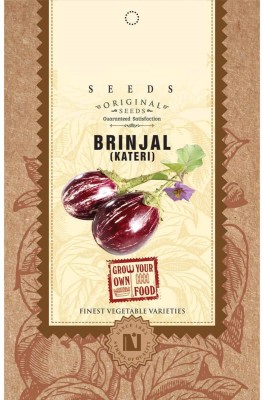 Biosnyg Brinjal Kateri Seeds 250 Seeds Seed(250 per packet)