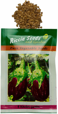 VibeX ™ HAU-703-Brinjal Non-GMO Vegetable Seeds Seed(90 per packet)