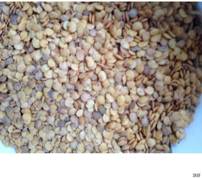 Qualtivate brinjal Seed(100 per packet)