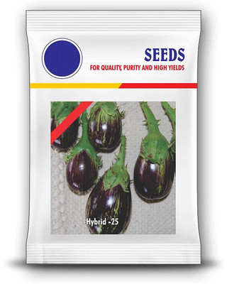 VibeX ® HAU-450-Brinjal Hybrid F1 Seeds Seed(500 per packet)