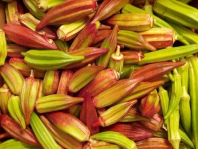 VibeX Bhindi Seed(250 per packet)