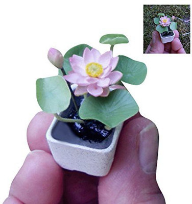 CRGO ® CBZ-1197 Mini Lotus Hyacinth Seeds - Lavender Seed(35 per packet)