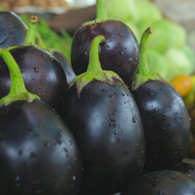 VibeX ® GBPUAT-330-Brinjal Black Beauty Seeds Seed(500 per packet)