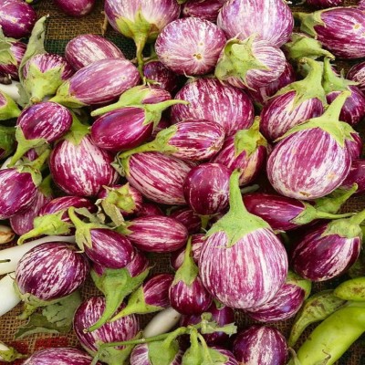 VibeX ® HAU-516-Purple Co Brinjal seed Seed(150 per packet)