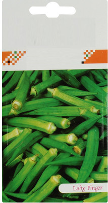 VibeX ladies finger Seed(125 per packet)