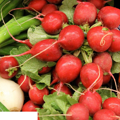 VibeX ™ LXI-316 Radish Seeds Red Globe Seed(175 per packet)