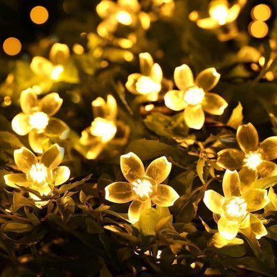 Ein Sof 20 LEDs 8 m Yellow Steady Flower Rice Lights(Pack of 1)