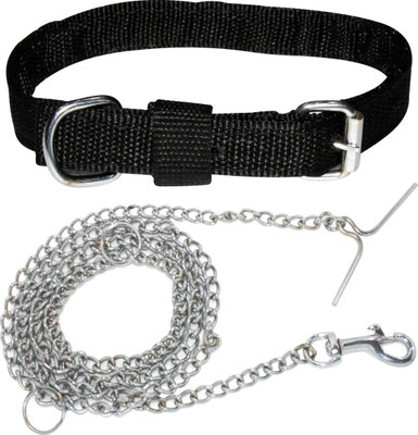 Dog belt online flipkart sale
