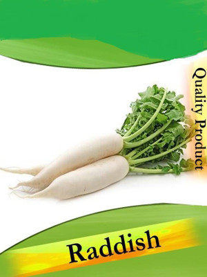 XOLDA RADISH Seed(10 per packet)
