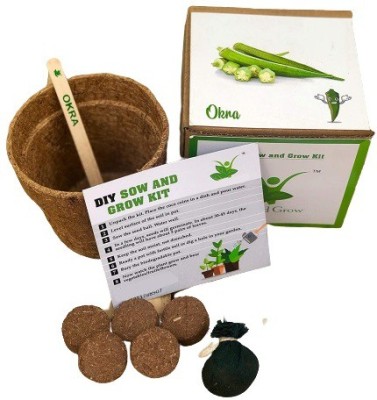 Quinergys XII-182-Plants From Seed - Grow Your Own Okra/Bhindi Kit Seed(30 per packet)