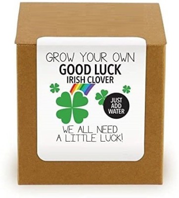 Quinergys LXI-142-Grow Your Own Lucky Clover Plant Kit Seed(21 per packet)