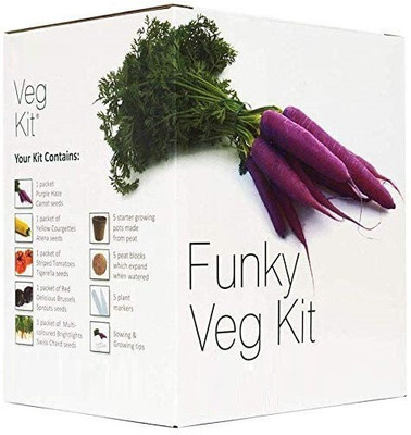 Quinergys MXI-286-Funky Vegetable Grow Your Own Kit Seed(30 per packet)