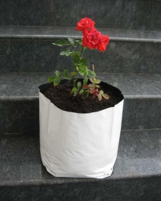 VAYINATO Home Garden, Terrace Garden, Kitchen Garden, Terrace Poly House Garden, Roof Top Balcony Garden Grow Bag