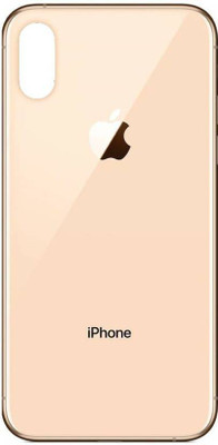 TECHFY Apple Iphone Xs Back Panel(Gold)