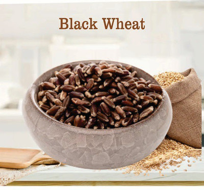 CRGO BLACK WHEATGRASS , KALA GEHUN Seed(150 per packet)