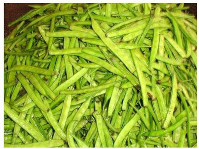 sporos CLUSTER BEANS Seed(25 per packet)