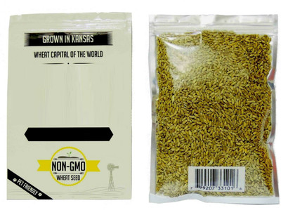 CRGO BLACK WHEATGRASS , KALA GEHUN Seed(600 per packet)
