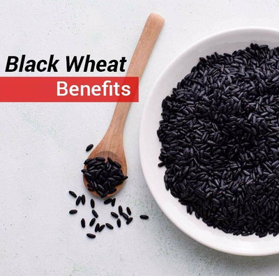 CRGO BLACK WHEATGRASS , KALA GEHUN Seed(5000 per packet)