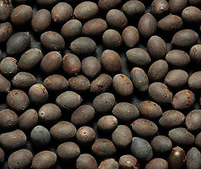 dorvik collections Kamal Gatta Seed(101 per packet)