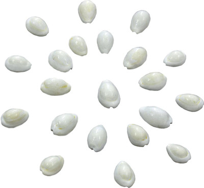 SHIVAKARI White Shell Pack Of 51 Pcs Stoneware Yantra(Pack of 51)