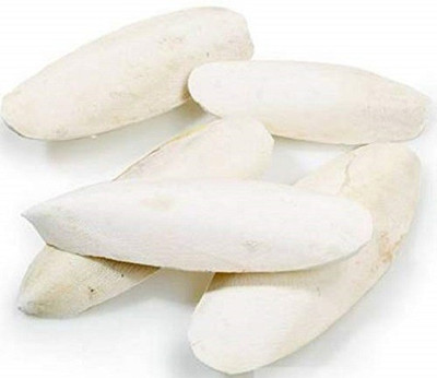Sage Square Natural High Calcium Source Cuttlebone Fish for Birds, Parrot (400grm) 0.4 kg Dry Young Bird Food