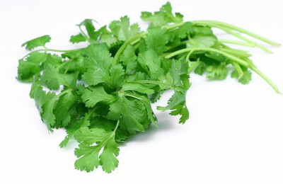 ME Traders Coriander dhania Seed(40 per packet)
