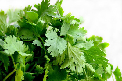 ME Traders Coriander dhania Seed(60 per packet)