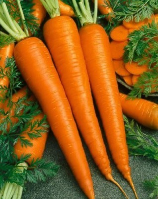 CYBEXIS Organic Natural Carrot Seeds4000 Seeds Seed(4000 per packet)