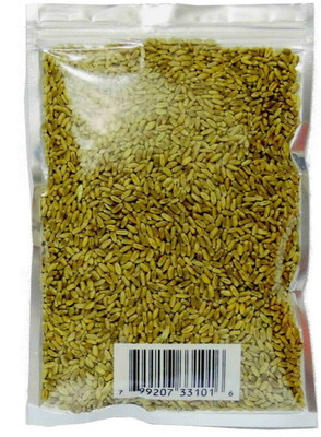 VibeX Wheatgrass Seeds Seed(2000 per packet)