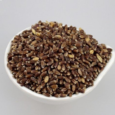CRGO BLACK WHEATGRASS , KALA GEHUN Seed(450 per packet)