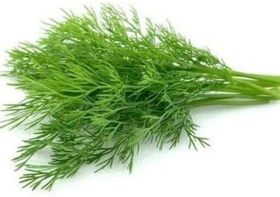 Paudha Dill soya Seed(25 per packet)