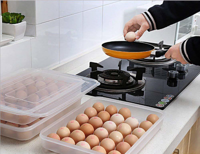 TINSUHG Plastic Egg Container  - 2 dozen(Clear)