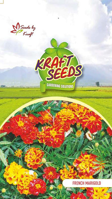 WILLVINE Angan French Marigold Flower Ks Spl Mix GMO-Free Seeds Seed(200 per packet)