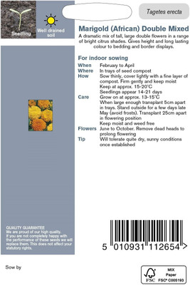 VibeX Marigold Seed(5 per packet)