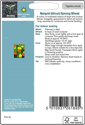 VibeX Marigold Seed(25 per packet)