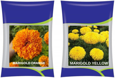 WILLVINE ™Marigold (French) Dwarf Double Mixed Seed(1000 per packet)