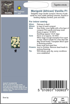 VibeX Marigold Seed(100 per packet)