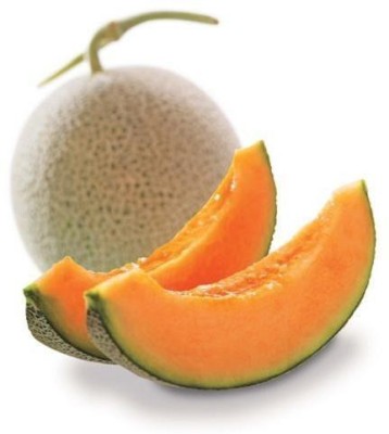 SAGAR Muskmelon Seed(225 per packet)