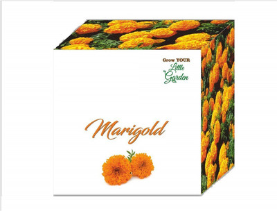 WILLVINE ™Marigold African Crackerjack Seeds Seed(1000 per packet)