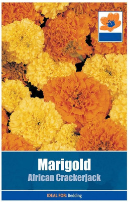 VibeX Marigold Seed(15 per packet)