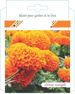 CRGO ™ PUSA-565 Marigold (French) Dwarf Double Mixed Seed(45 per packet)